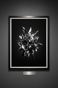 Crystalline Monochrome Void