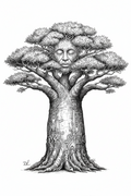The Baobab — Elder of the Earth