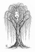 The Weeping Willow — Tree Sketch